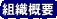 �g�D�T�v
