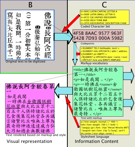 A model of digital text representation including
						the information content